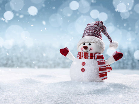 Christmas and New Year Holiday Closure Information 2021/2022